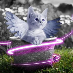 女人和拘做受A级毛片野外
